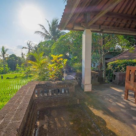 Puri Cili Villa Ubud Zewnętrze zdjęcie