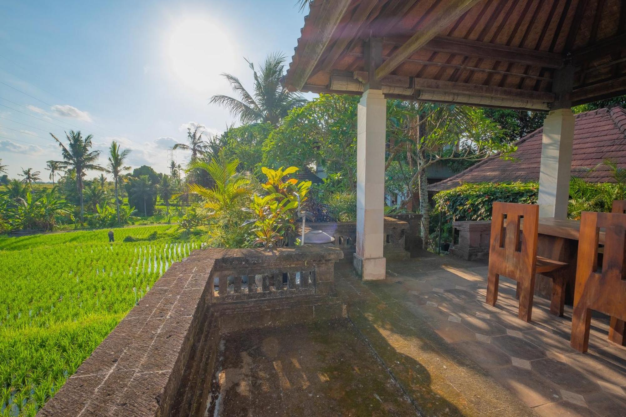 Puri Cili Villa Ubud Zewnętrze zdjęcie